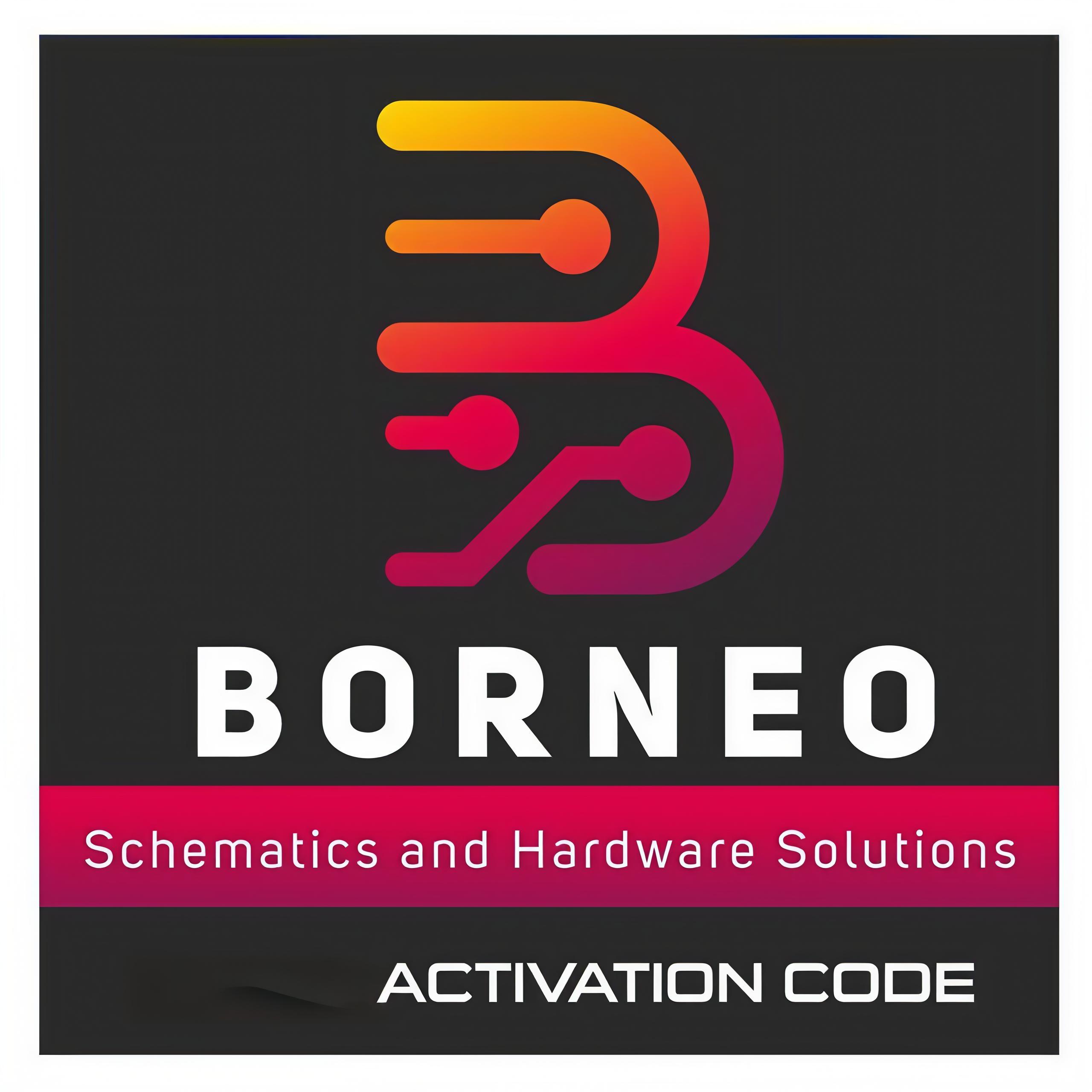 Borneo Schematic - 1 Year 1 User Activation