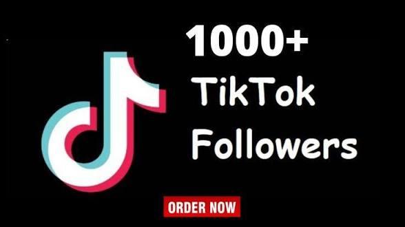 Social - TikTok Account 1,000 Followers - No Waranty