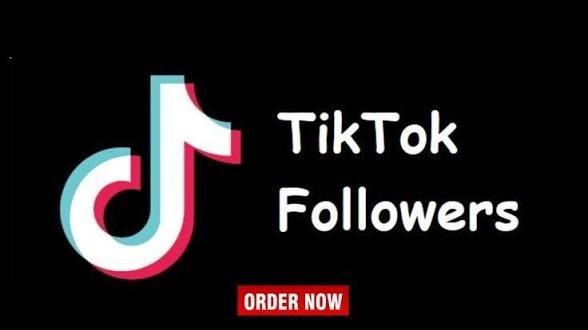 Social - TikTok Followers - [ 30 Days Gurantee ] - [ 1 Qty  100 Followers ] - [ Any Quantity ]